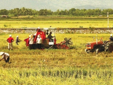 Mô hình nông nghiệp tuần hoàn và kết hợp du lịch sinh thái trải nghiệm nông nghiệp bền vững